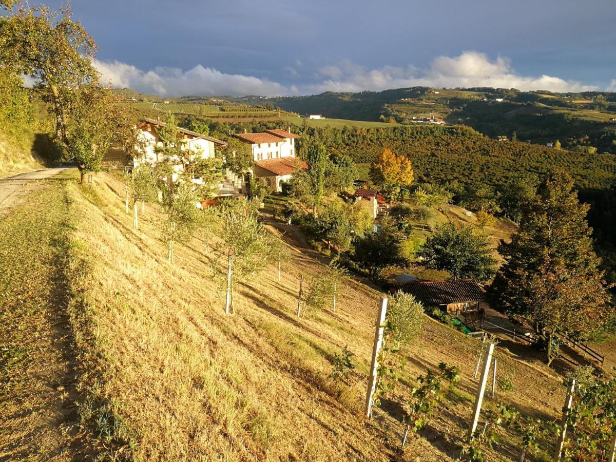Agriturismo Sondrea シーニオ エクステリア 写真